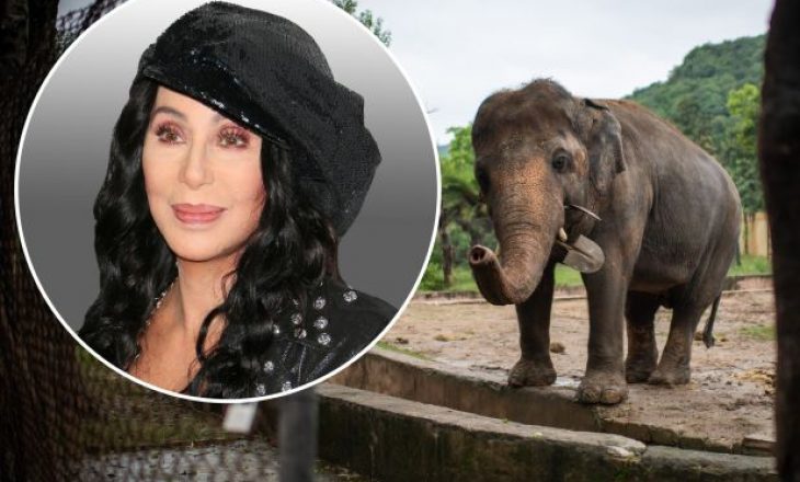 Këngëtarja ka ndihmuar në shpëtimin e ‘elefantit më të vetmuar në botë’ pas dekadash robëri