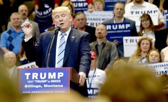 Nuk dorëzohet Trump, thotë se do të fitojnë