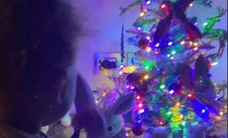 Ka një arsye pse Sara Hoxha ka dy pemë krishtlindjesh në shtëpi