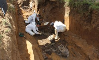 Në Kolumbi gjenden 17 skelete në një varr masiv