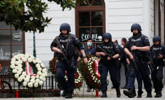 Sulmi në Vjenë: Policia arreston 14 persona