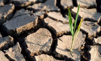 Ngrohja globale: Analiza e temperaturave tregon që qëllimet janë të realizueshme