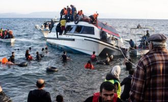 Shtatë emigrantë humbin jetën në brigjet e Egjiptit