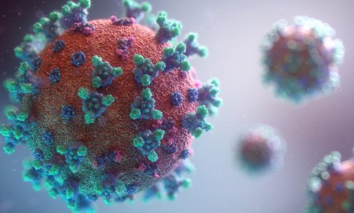 Gjashtë të vdekur dhe 372 raste pozitive me Coronavirus