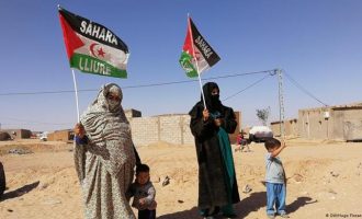 Mësoni më shumë rreth konfliktit në Sahara-në Perëndimore