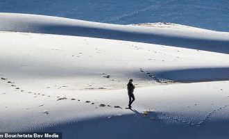 Një pamje e rrallë: Sahara mbulohet e tëra me dëborë