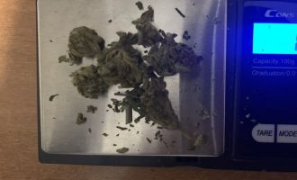 Sekuestrohet substancë narkotike në Fushë Kosovë