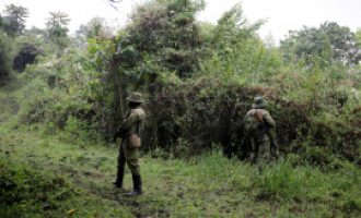 Nga konflikti në Republikën Demokratike të Kongos shënohen 16 viktima