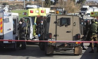 Forcat izraelite vrasin një palestinez në Bregun Perëndimor