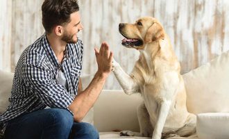 Imazhe magjepsëse që tregojnë se si shohim ne dhe se si sheh qeni jonë