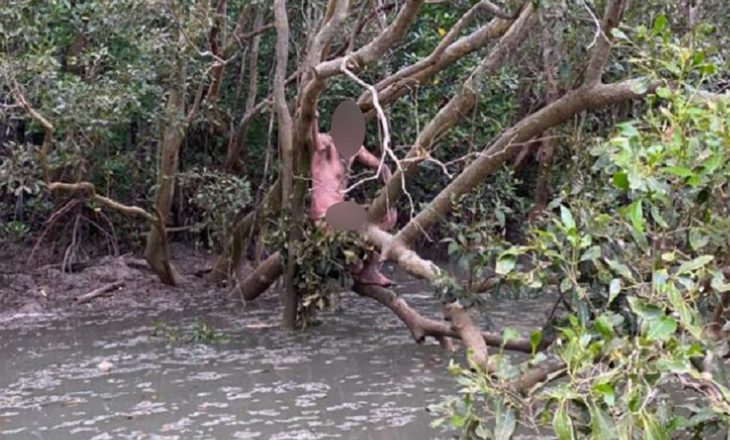 I arratisur, lakuriq dhe i ngujuar në pemë për katër ditë më në fund shpëtohet nga peshkatarët