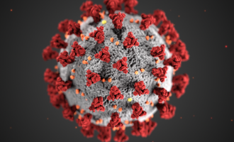 Five new  COVID’19-related deaths in the last twenty-four hours