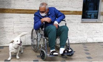 Qeni pret për ditë të tëra para spitalit ku po trajtohej i zoti i tij