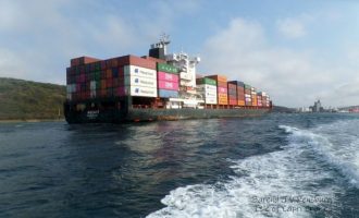 Detarët turq të rrëmbyer nga piratët kthehen në shtëpi