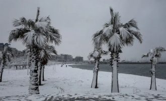 Reshje të rralla dëbore zbardhin Athinën (FOTO)