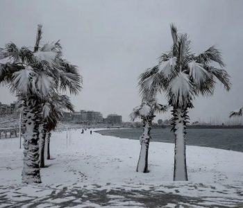Reshje të rralla dëbore zbardhin Athinën (FOTO)