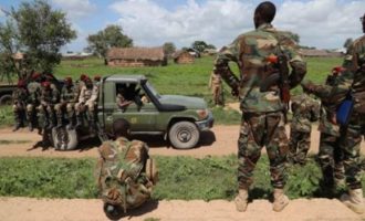 Somali: Vriten tetë antarë të grupit al-Shabaab