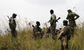 Rebelët Hutu akuzojnë Republikën Demokratike të Kongos për vrasjen ambasadorit italian