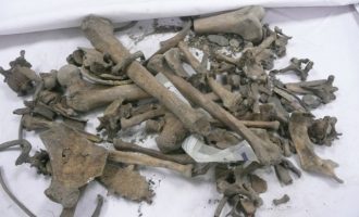 Insajderi publikon hulumtimin për dosjet e zhdukura në IML – Si ndodhi që humbën 100 dosje të personave të zhdukur gjatë luftës në vendin ku duhet të ruheshin dhe kush janë të dyshuarit për zhdukjen e tyre?