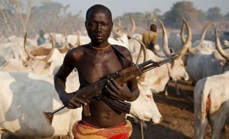 Shënohen 23 viktima nga sulmet e armatosura në Nigeri