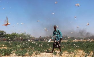 Nga pushtimi i karkalecave, Somalia ka shpallur gjendjen e jashtëzakonshme