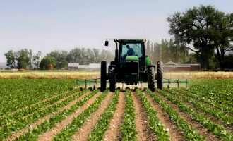 Rifillon ekzekutimi i pagesave për përfituesit e subvencioneve në bujqësi