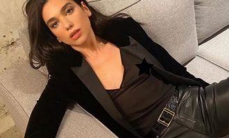 Dua Lipa tronditet pasi një grup fansash turren drejt saj