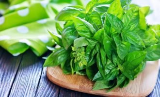 Si ta ruani freskinë e borzilokut