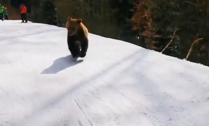 Filmohet ariu teksa ndjek një skiator në pistë