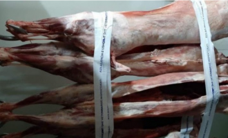 AUV konfiskon 300 kilogramë mish në Pejë