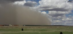 Nga një stuhi e madhe pluhuri që ka goditur Mongolinë, nëntë persona kanë humbur jetën