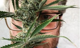 Aktori i njohur po lanson një kompani marihuane: “Kjo është puna e gjithë jetës”