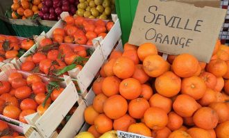 Ky vend po shndërron 35 ton portokalle të mbetura në elektricitet