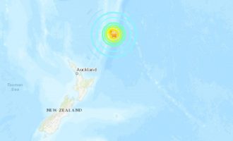Një tërmet me magnitudë 8.1 ka goditur ishujt Kermadec të Zelandës së Re