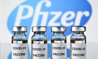 Pfizer çdo të javë do të dërgojë deri në 7 mijë doza të vaksinës në Maqedoninë e Veriut