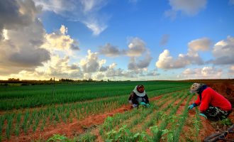 Banka Botërore vazhdon mbështetjen për sektorin e bujqësisë në Kosovë