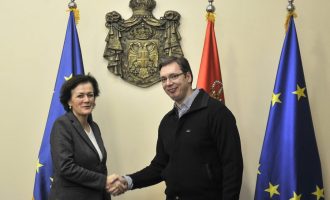 Vuçiq: Angelina Eichhorst nuk është autore e “non paper”