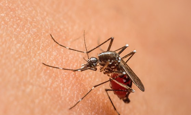 Zbulohet vaksina për malarien – 75 përqind efektive