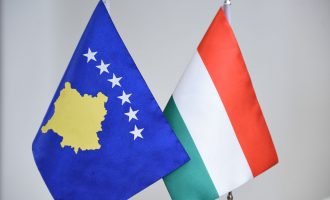 Ambasadori Hungarez: Të gatshëm për bashkëpunim me Kosovën