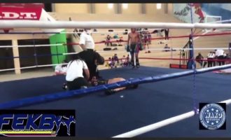 Ekuador: Momenti kur kikboksieri humb jetën në ring nga goditjet e kundërshtarit