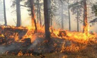 Një mal në Malishevë përfshihet nga zjarri
