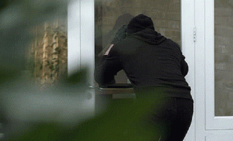 Policia raporton për dy vjedhje