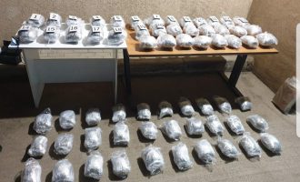 Arrestohet një person në Vermicë – Policia i gjen 30 kilogramë marihuanë