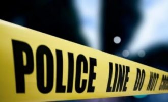 Plagosen dy persona në Fushë Kosovë