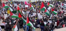 Në Washington zhvillohet protestë në mbështetje të Palestinës