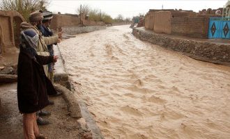 Nga përmbytjet e reshjeve të shiut në provincën Herat të Afganistanit, 14 persona kanë humbur jetën