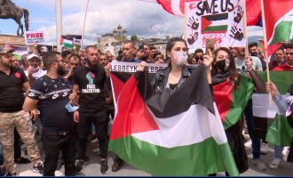 Protesta në Shkup në përkrahjet të Palestinës