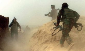 Nga operacionet e ushtrisë afgane në lindje të vendit, vriten së paku 50 talebanë