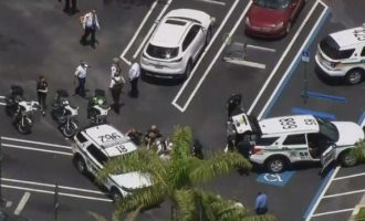 Tre të vdekur pas të shtënave me armë zjarri në një supermarket në Florida