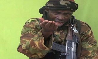 Lideri i grupit Boko Haram dyshohet se ka kryer vetëvrasje
